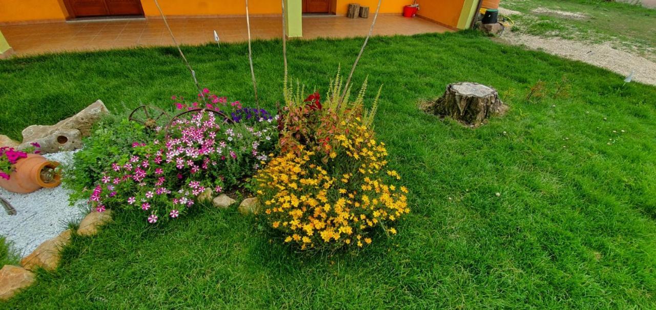 Bungalows Coronas Bonorva ภายนอก รูปภาพ